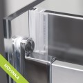 Roltechnik Душевой уголок полукруглый AMR2N 100cm